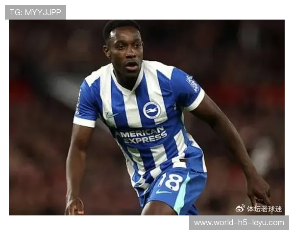 老将新生：资深球员在国家队焕发第二春