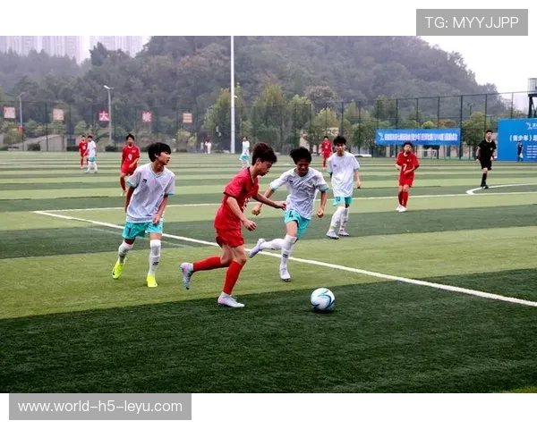 青少年足球夏季挑战赛 吸引多省队伍参赛，2020年青少年足球比赛